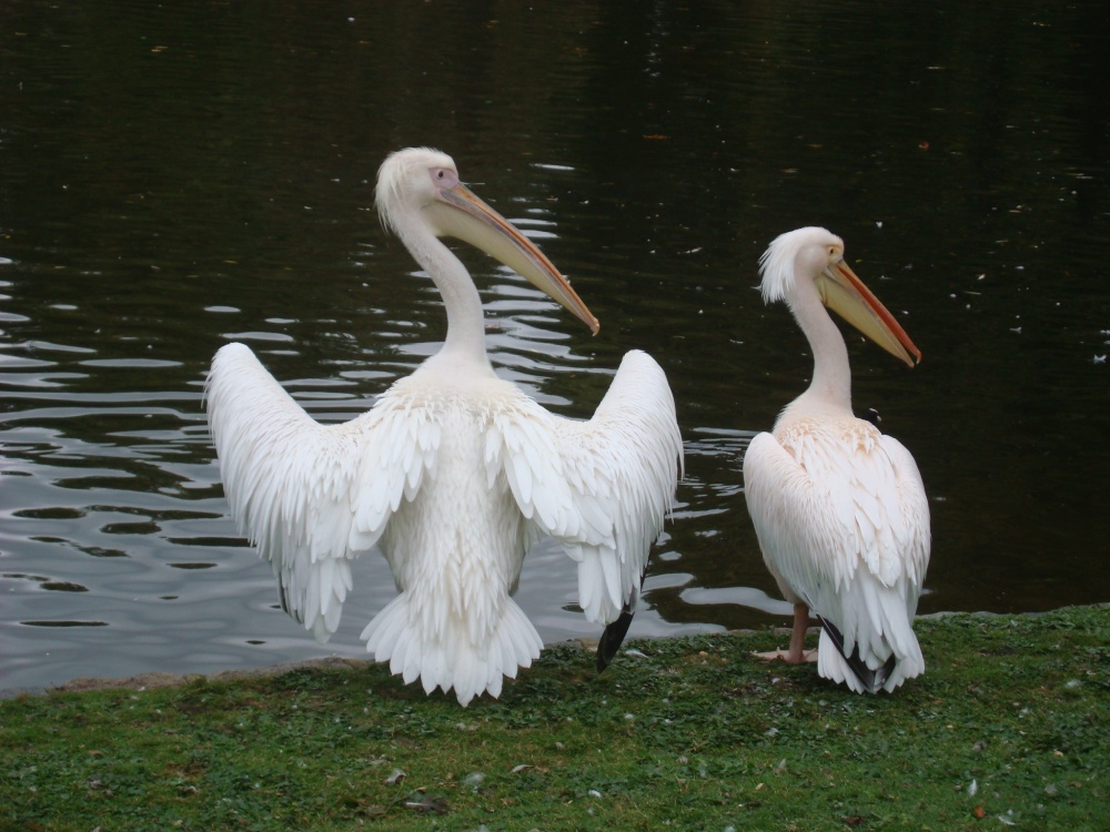 St James's Park