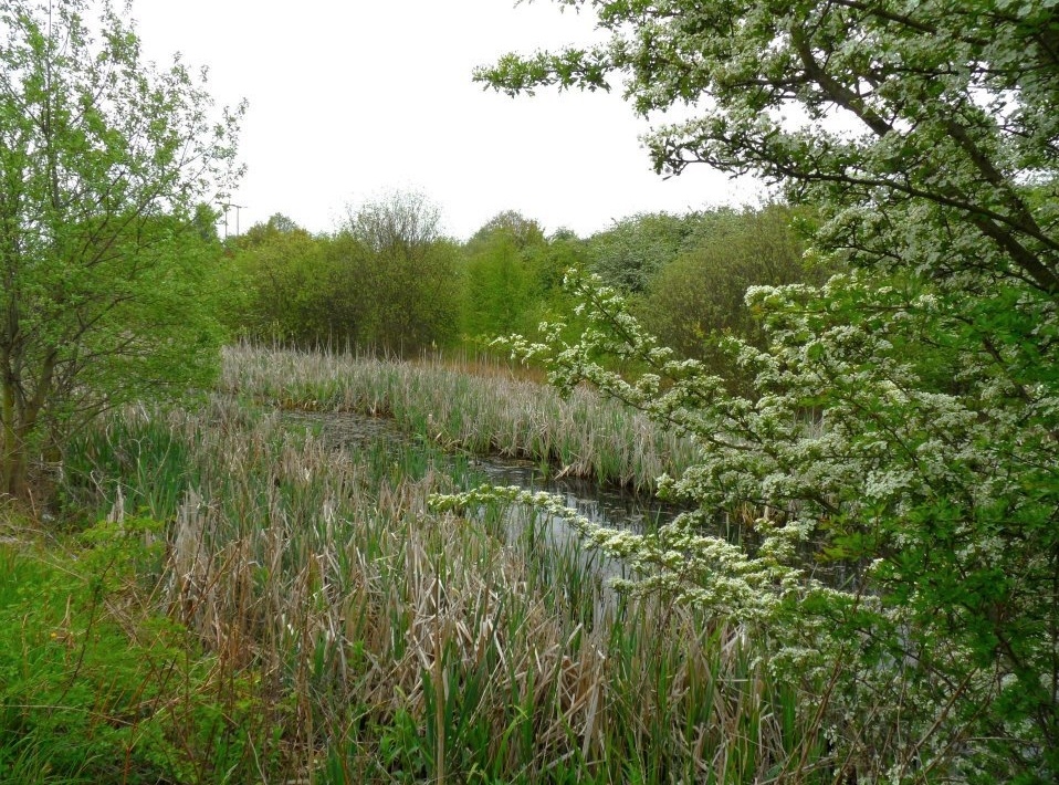 Remnants of the Dearne and Dove Canal