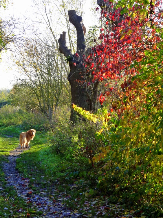 At Watermead Country Park