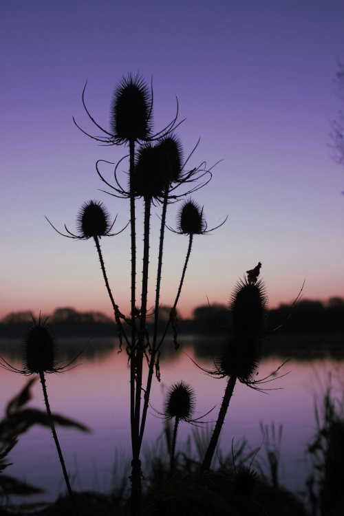 Kingsbury Water Park