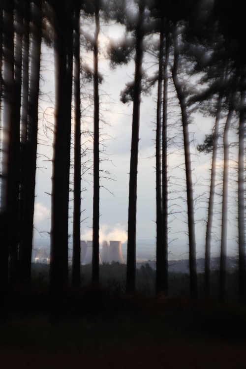 Cannock Chase