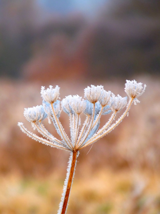 On a cold and frosty morning in Thurmaston