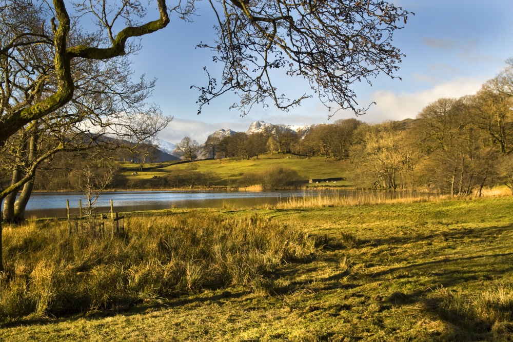 Loughrigg Tarn 2