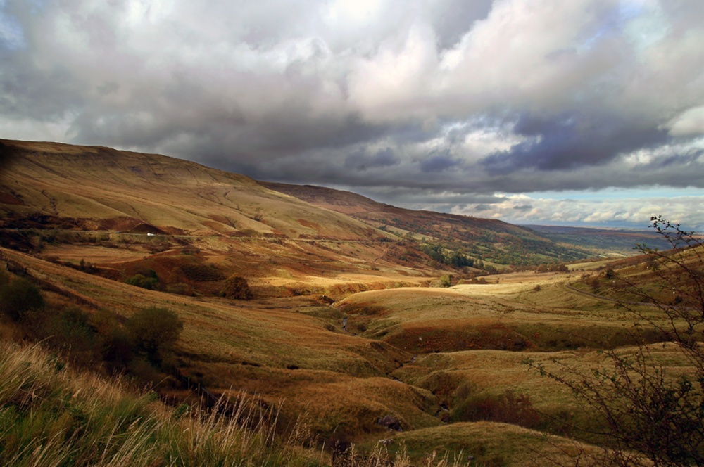 Countryside Landscape View