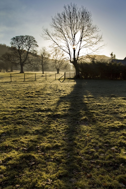 Grasmere low sun