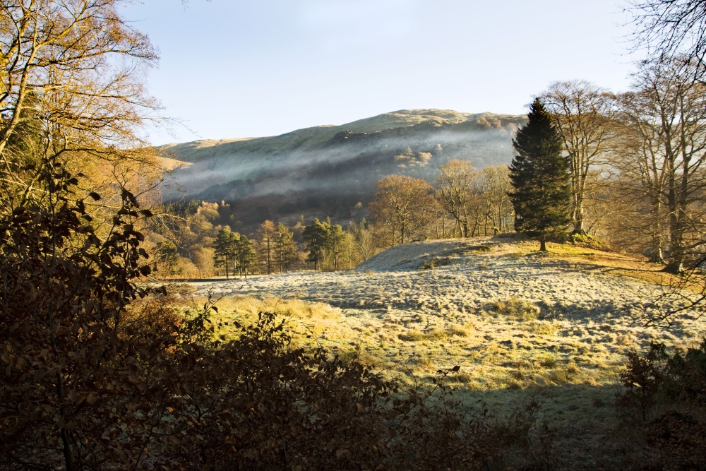 Frosty Grasmere meadow