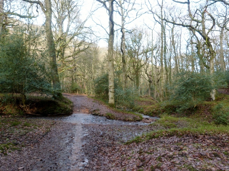 Quantock Hills