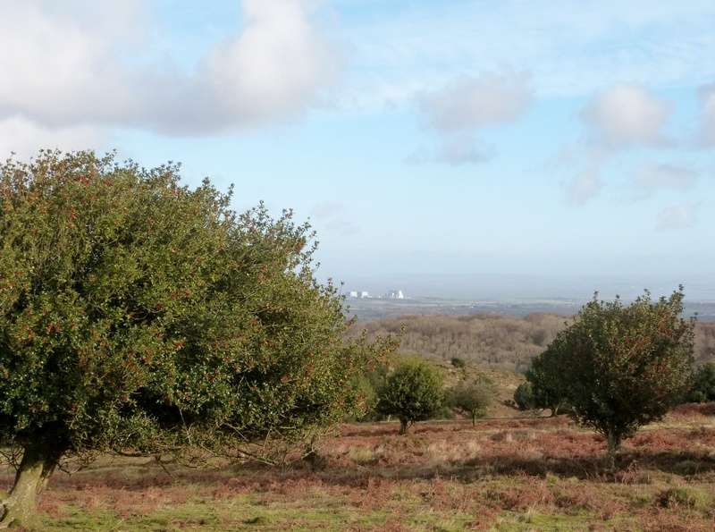 Quantock Hills