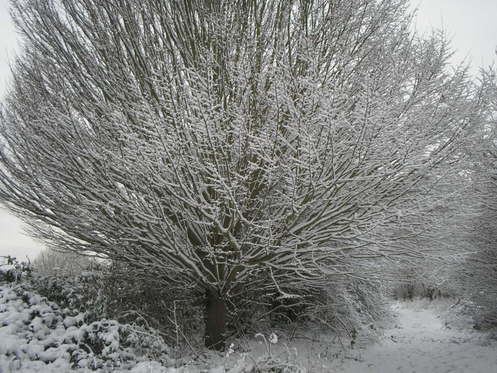 Walking in the Snow at Watermead Country Park