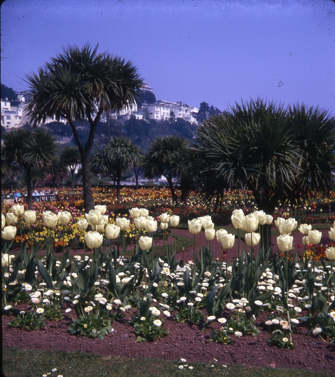 Torquay May 1971.