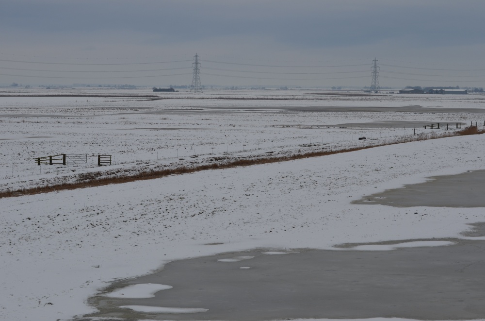 Photograph of Ouse Washes, Welney
