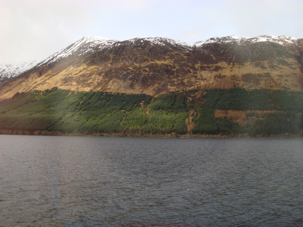 Loch Lochy and Kilfinnan Wood