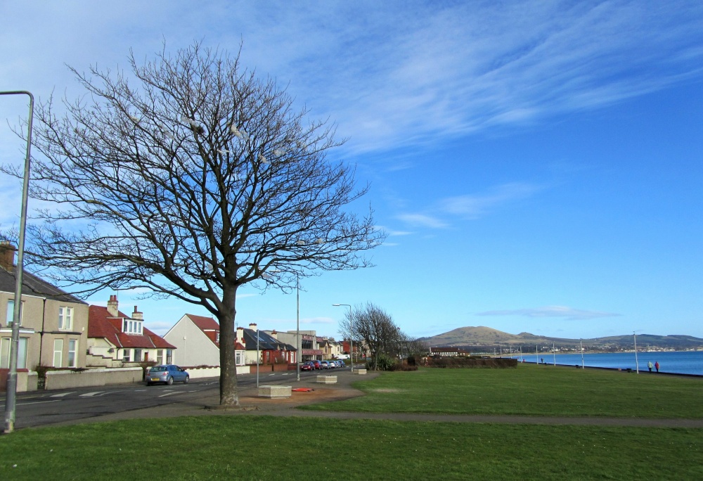 The Promenade