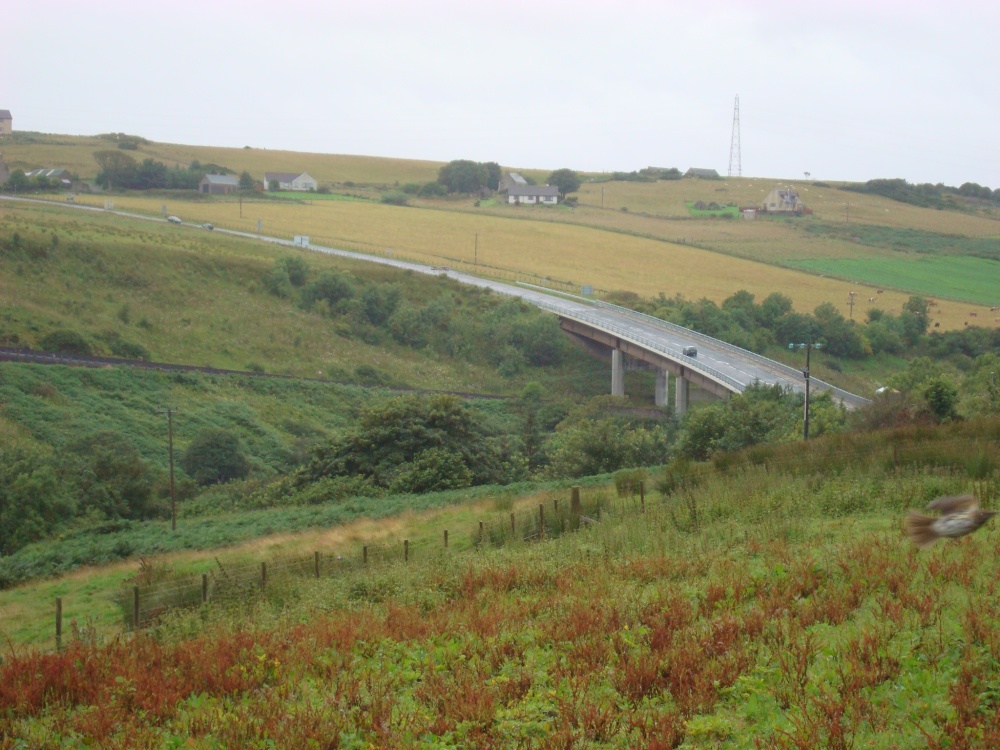 Photograph of The A9 new road bridge near Dunbeath