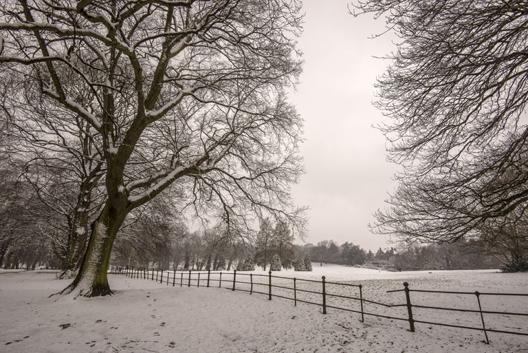 Abington Park East photo by Stewart Johnson