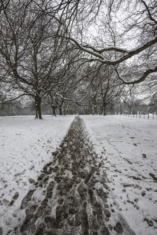 Abington Park, Northampton