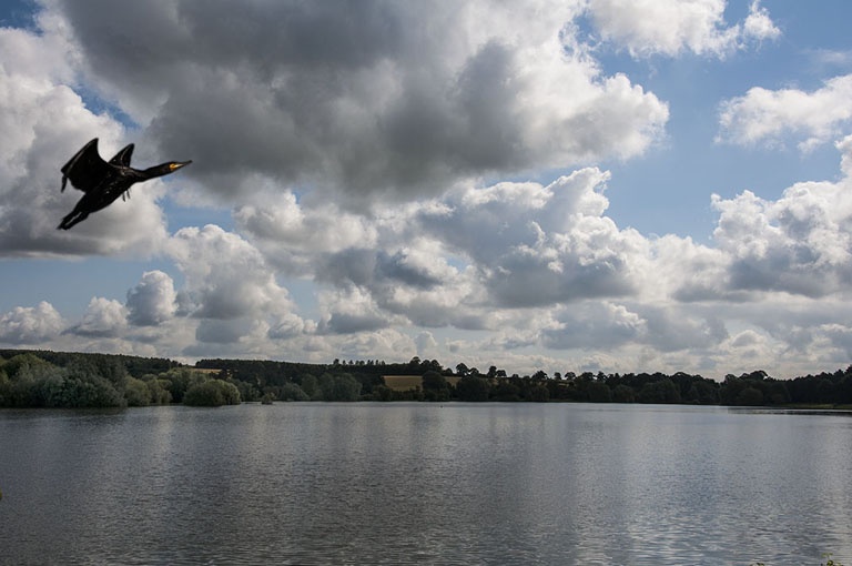 Pitsford Reservoir