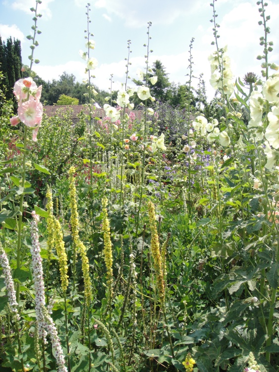 Leeds Castle Gardens, Maidstone