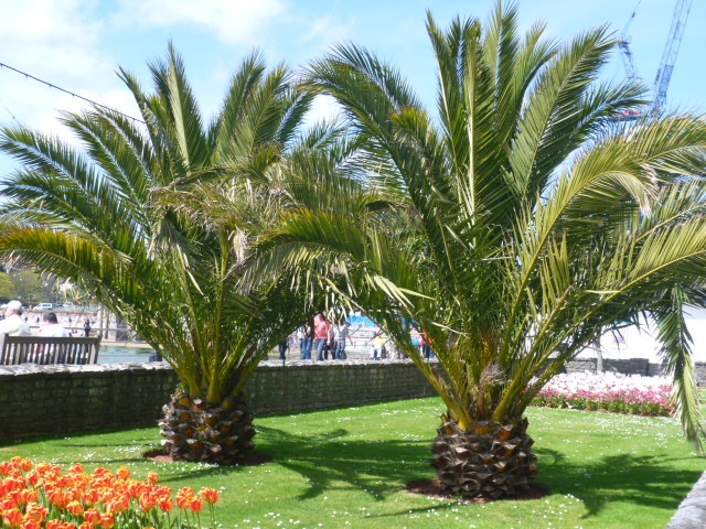 Torquay Seafront