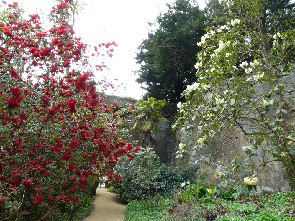 Belsay Hall and Gardens, Ponteland, Northumberland