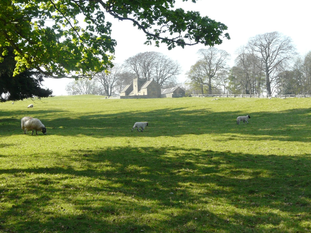 Belsay Hall and Gardens, Ponteland, Northumberland