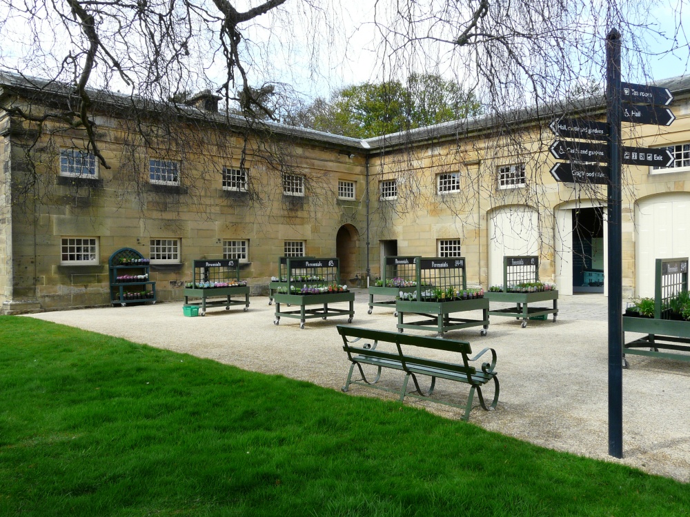 Belsay Hall and Gardens, Ponteland, Northumberland