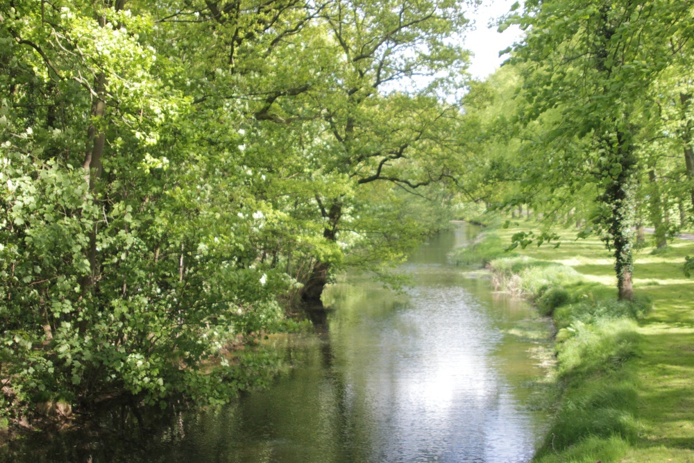 Arbury Hall gardens