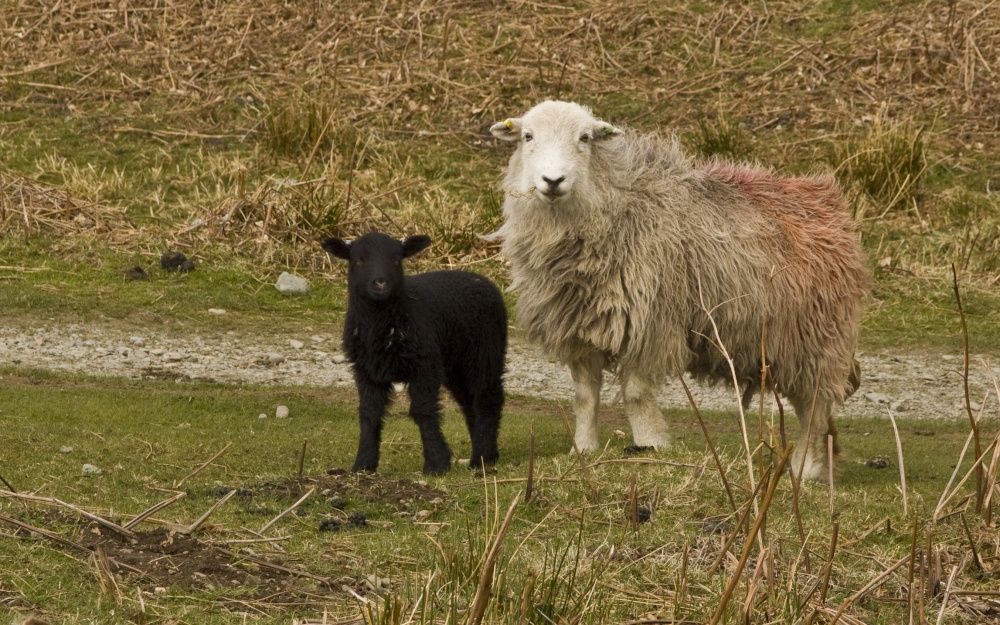 Mother and child