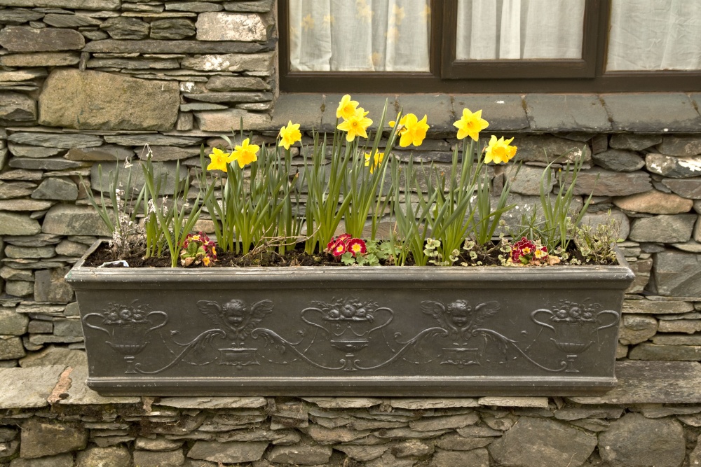 Window box Ambleside