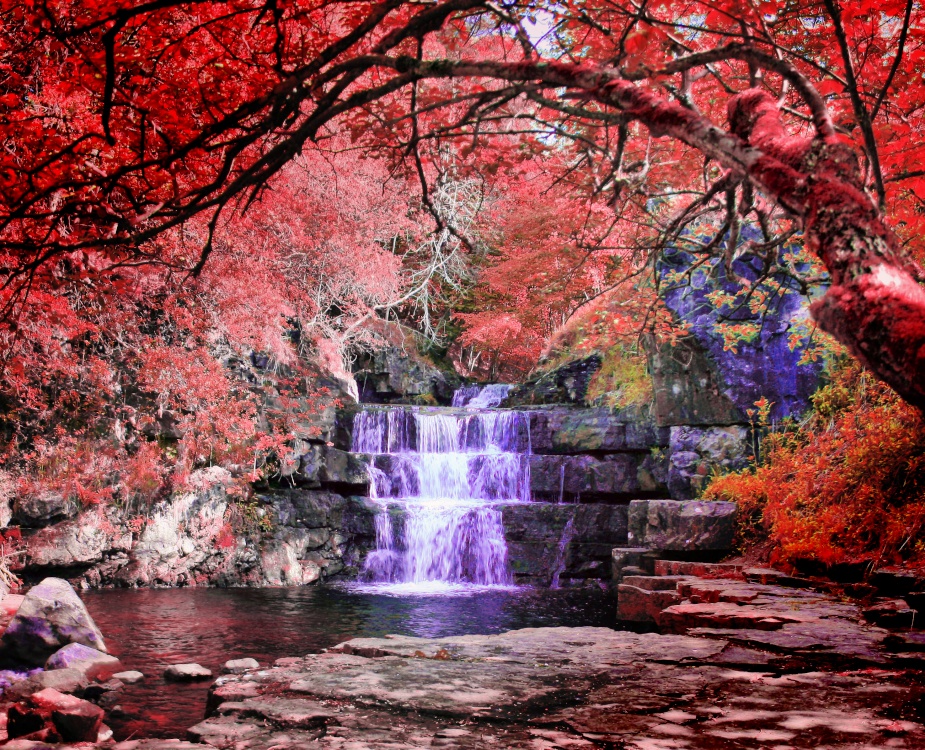 Low Force, Teesdale, Cumbria