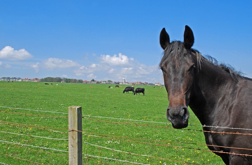 Views towards Whitburn Village