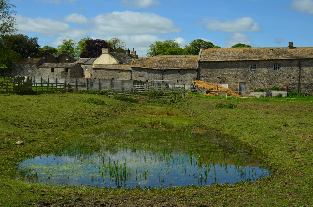 Photograph of Farm buildings at Middleham