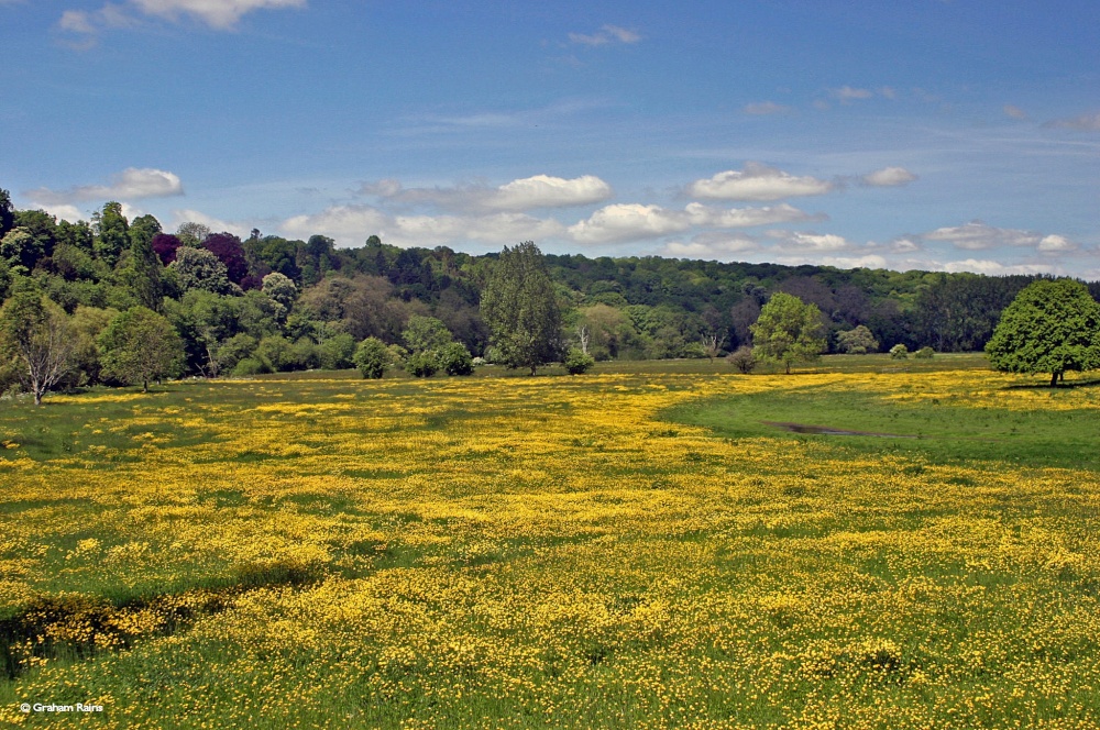 Blandford Forum