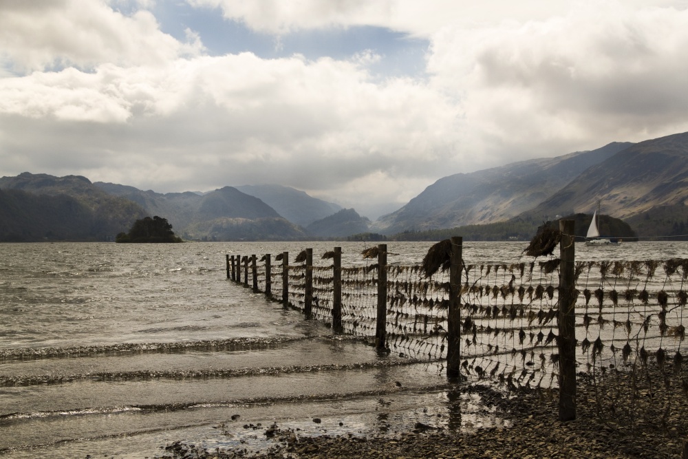 Towards Borrowdale from Friars Crag