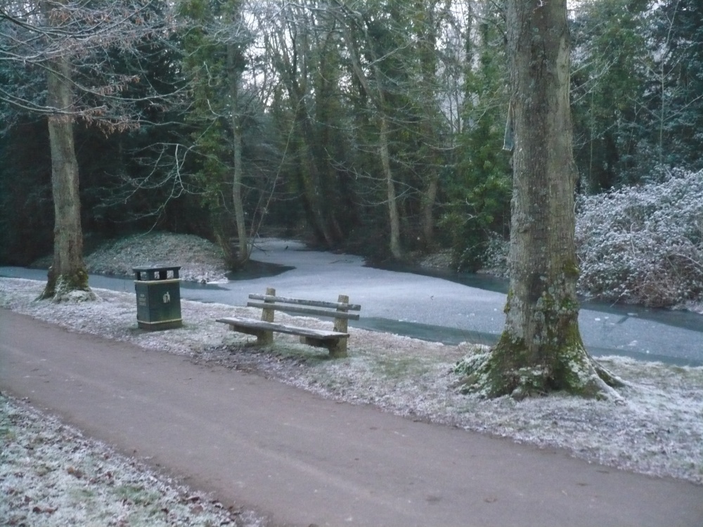 Walk to Arundel Park