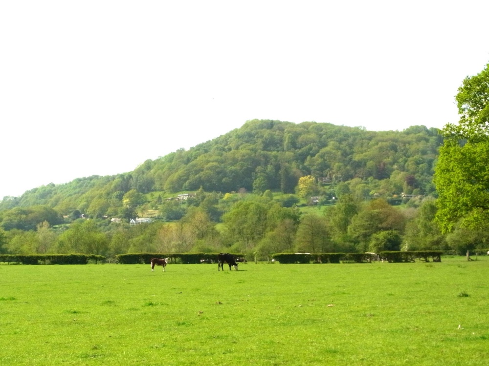 View from the Pentiloe Brook up to the Clouds, Checkley, Herefordshire