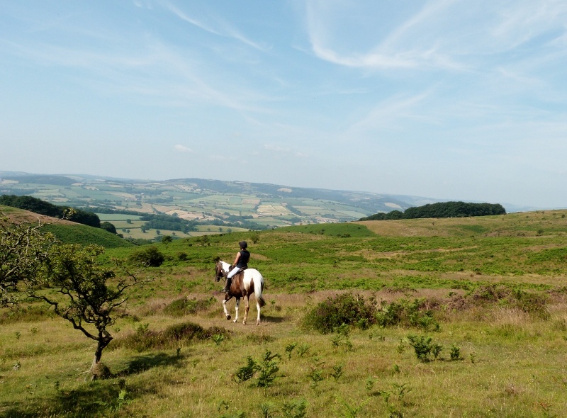 Quantock hills