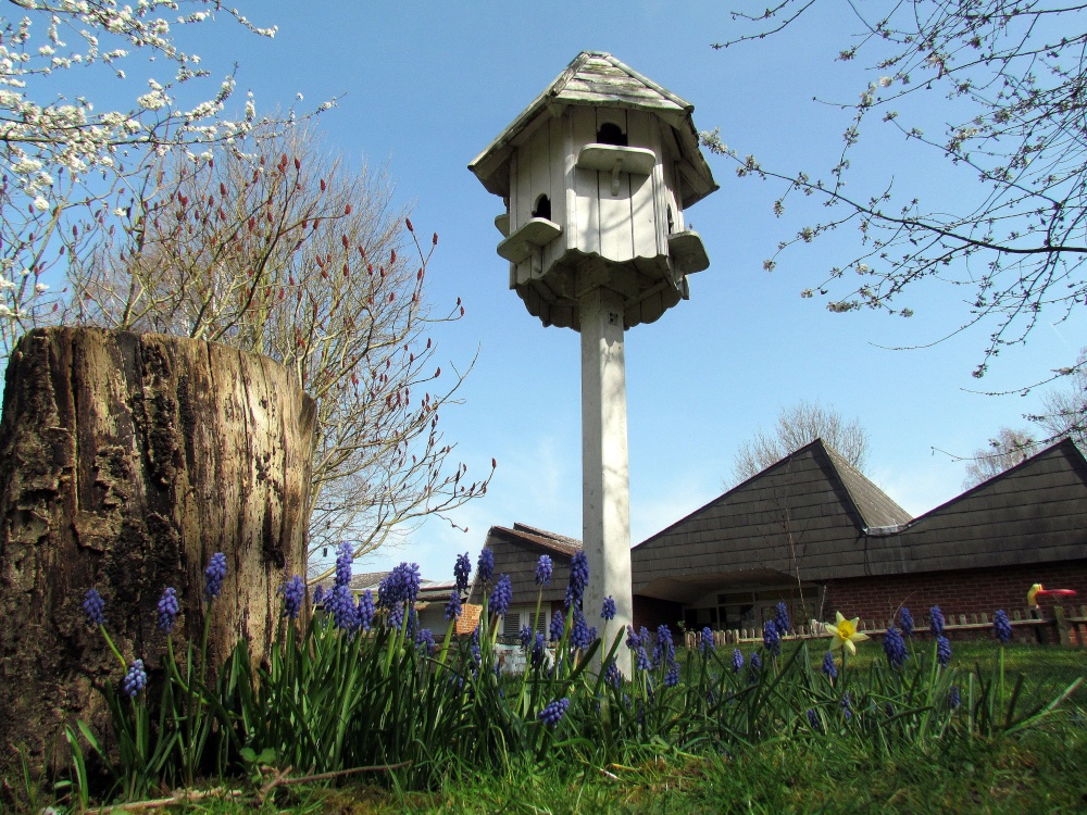 The Dovecote, Coteford Infant School,