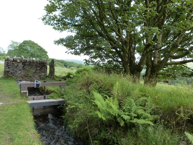 Dartmoor