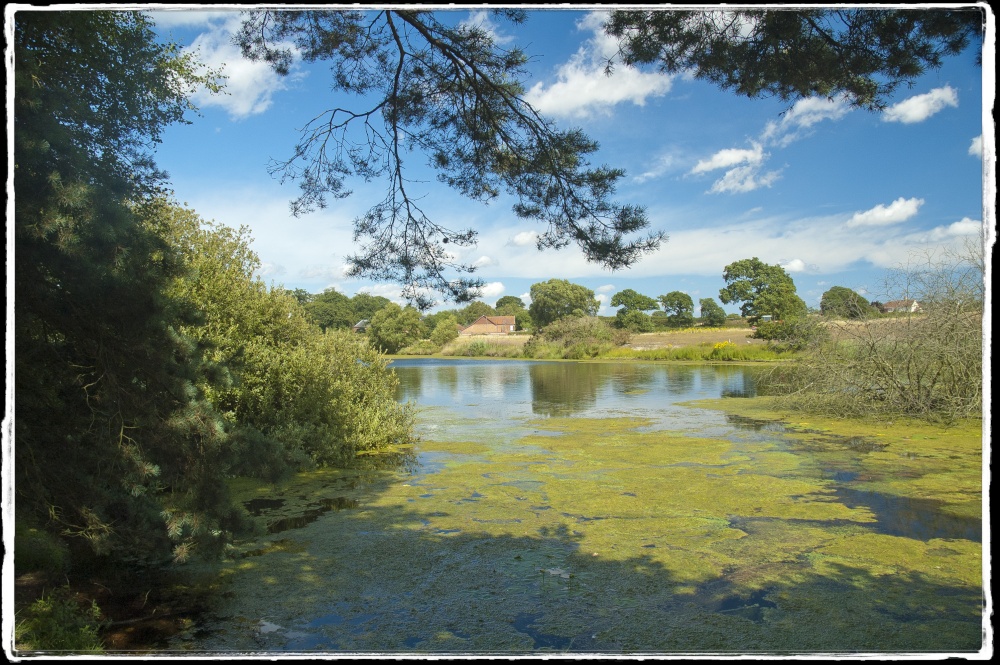 Lound Lake Walks