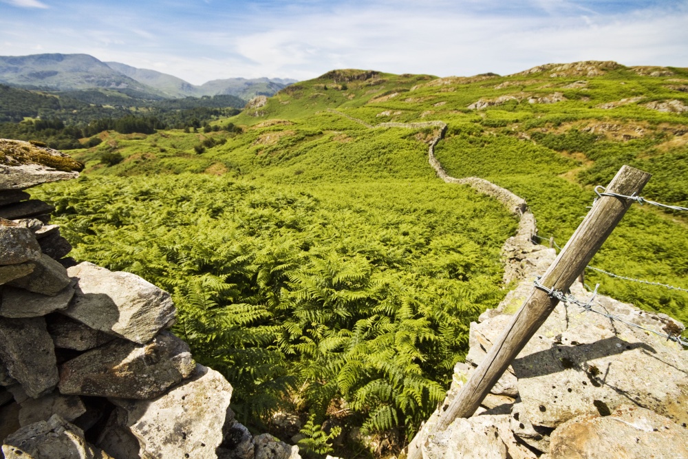 Loughrigg Fell and Ivy Crag