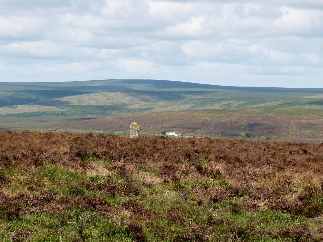 Dartmoor