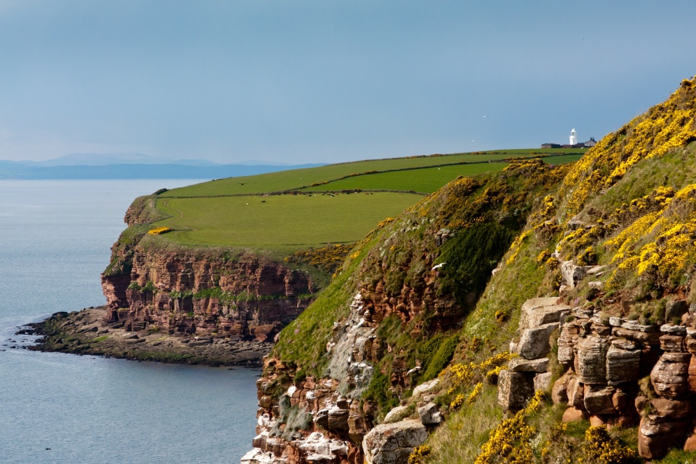 St Bees Head