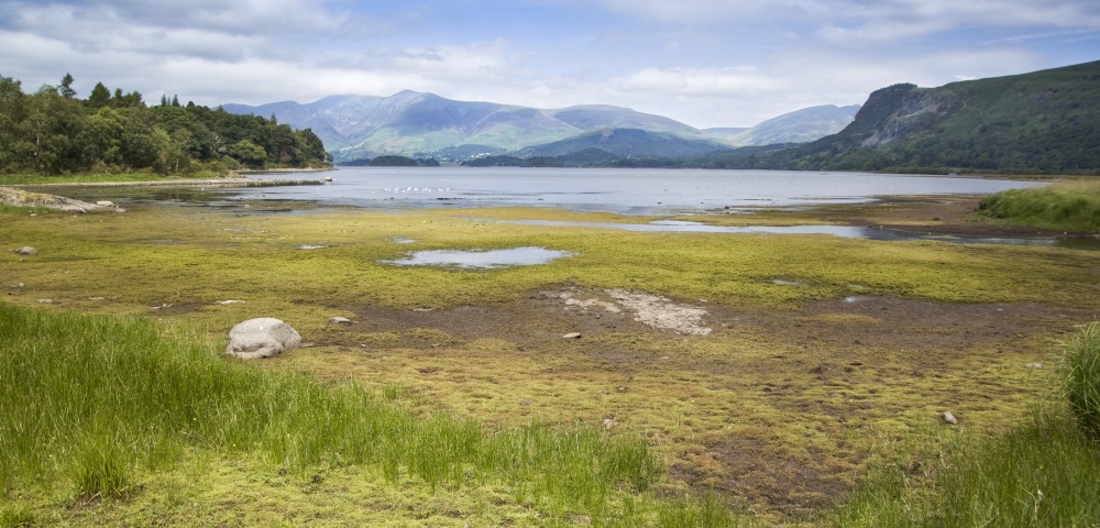 Great Bay Derwentwater