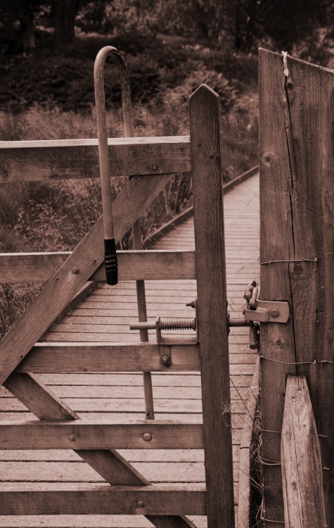 Gate at Park Nab, Derwentwater