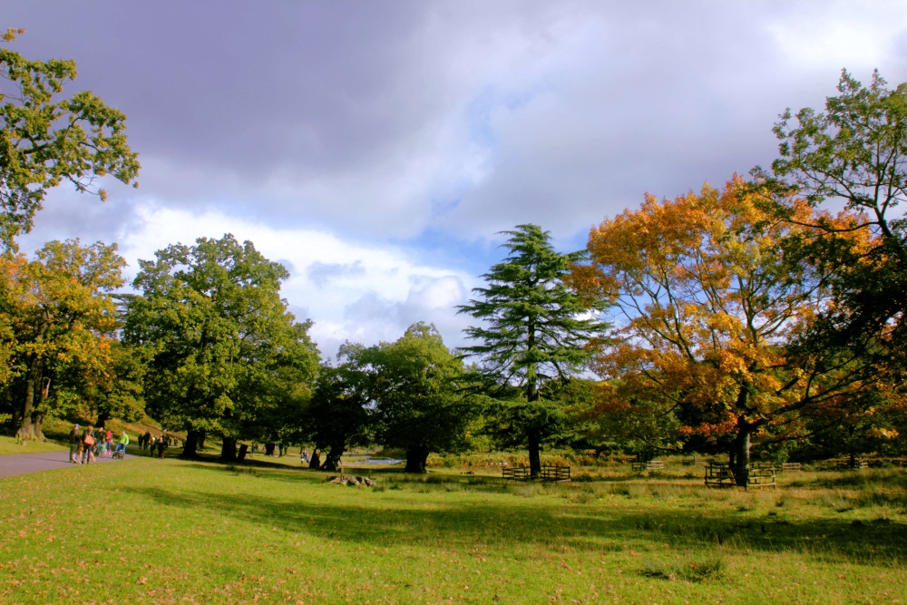 Bradgate Park