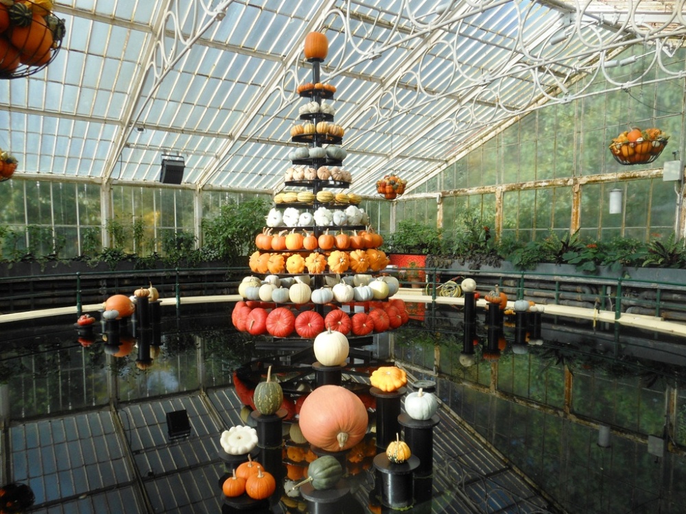 Pumpkin Display, Kew Gardens