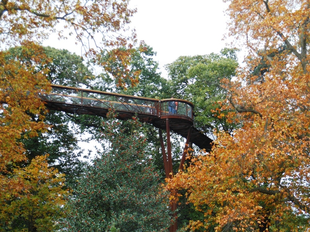 Treetop walk, Kew Gardens