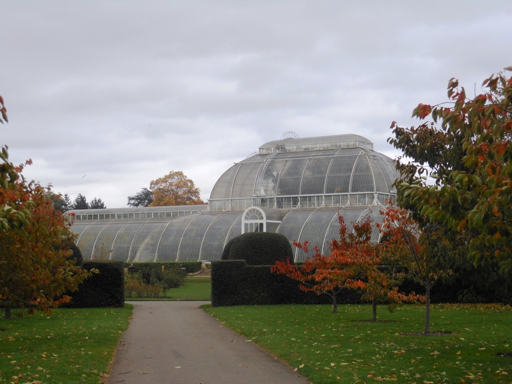 Palm House in Autumn, Kew Gardens