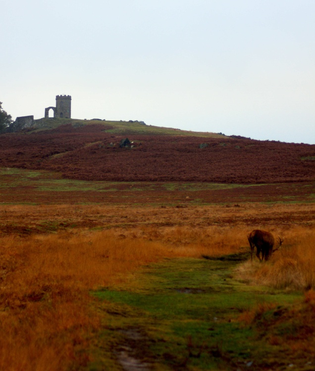 Bradgate Park